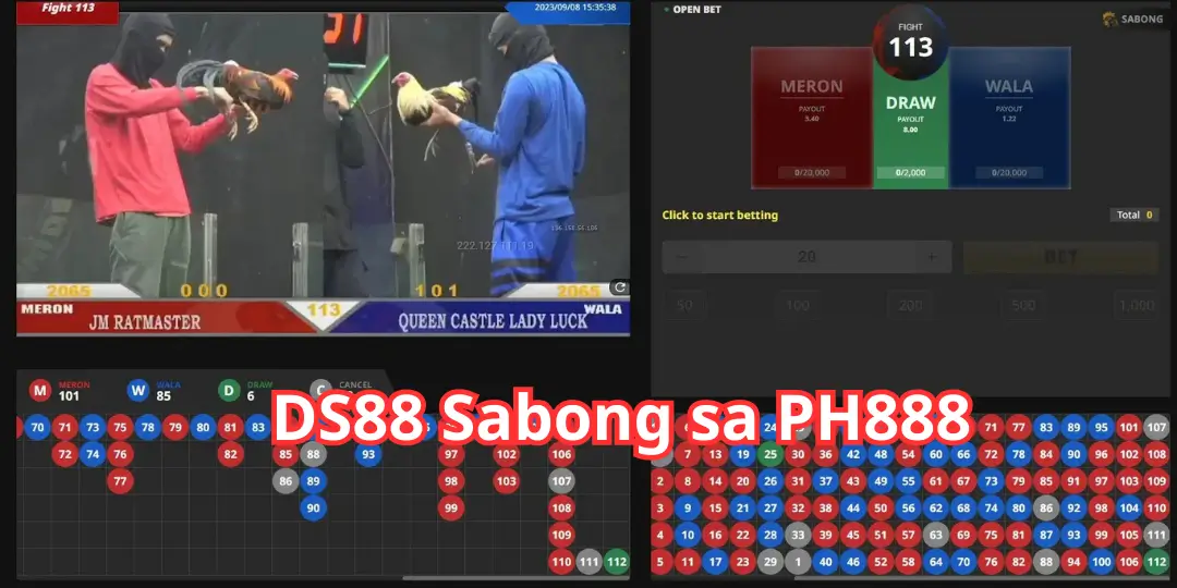 Pagpapakilala sa Ds88 Sabong sa PH888 – Paraan ng Paglalaro ng Sabong Betting, Mga Tips sa Pagtaya at Mga Diskarte sa Panalo 2 inter face DS88 Sabong sa ph888